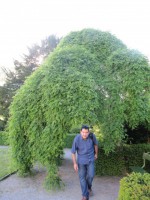 /album/galeria-9-fotos-potsdam-alemanha-/img-1996-jpg/