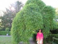 /album/galeria-9-fotos-potsdam-alemanha-/img-1997-jpg/