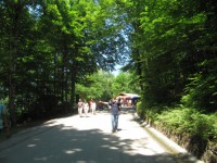 /album/galeria-13-fotos-fussen-alemanha-/img-6302-jpg/