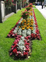 /album/galeria-14-fotos-salzburgo-austria-/img-6465-jpg/