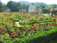 /album/galeria-14-fotos-salzburgo-austria-/img-6486-jpg/