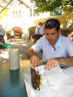 /album/galeria-14-fotos-salzburgo-austria-/img-6847-jpg/