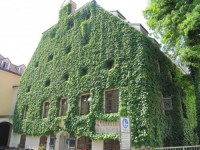 /album/galeria-15-fotos-munique-alemanha-/img-5735-jpg/