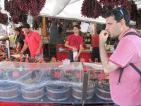 /album/galeria-15-fotos-munique-alemanha-/img-5886-jpg/